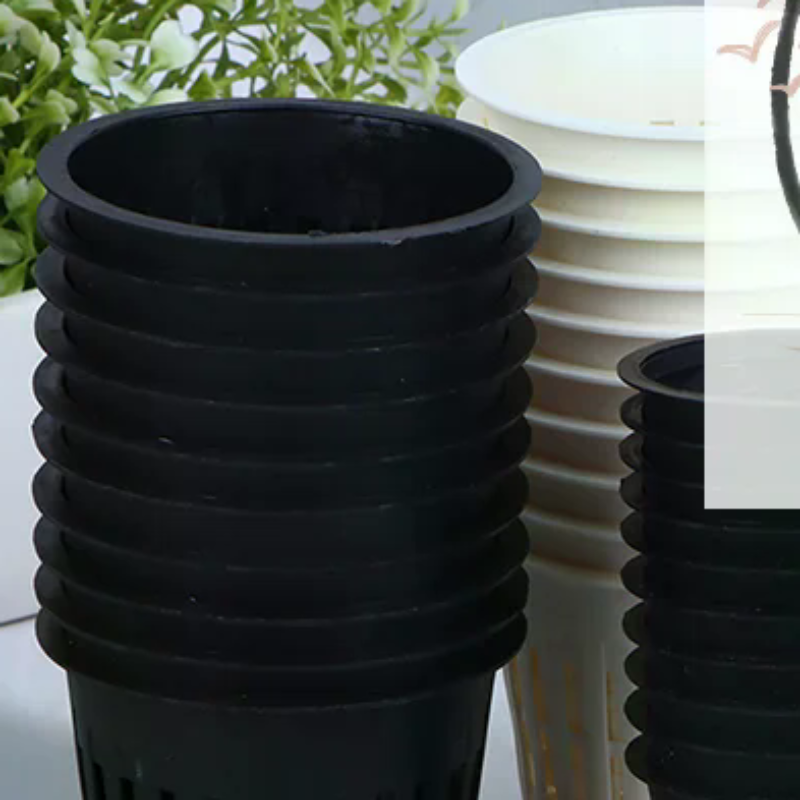 Net Pot 3 Inch - 10 pz 2 pollici 3 pollici