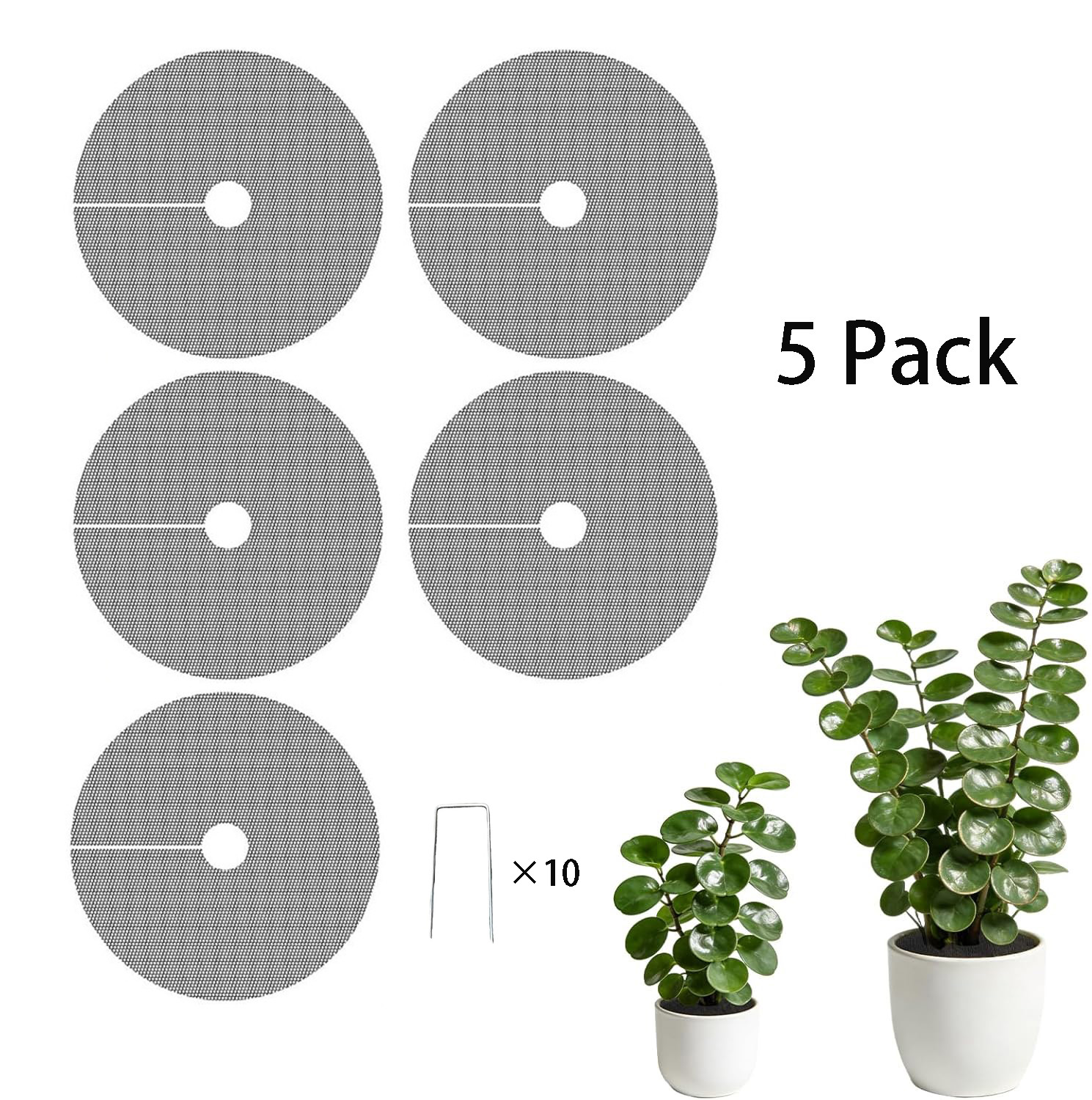 Net Pot 3 Inch - Confezione da 3 o 5 reti