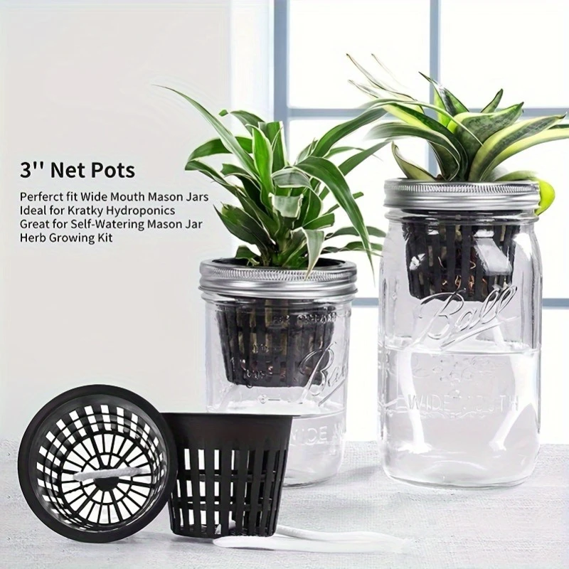 Net Pot 3 Inch - Vasi a rete idroponici in plastica