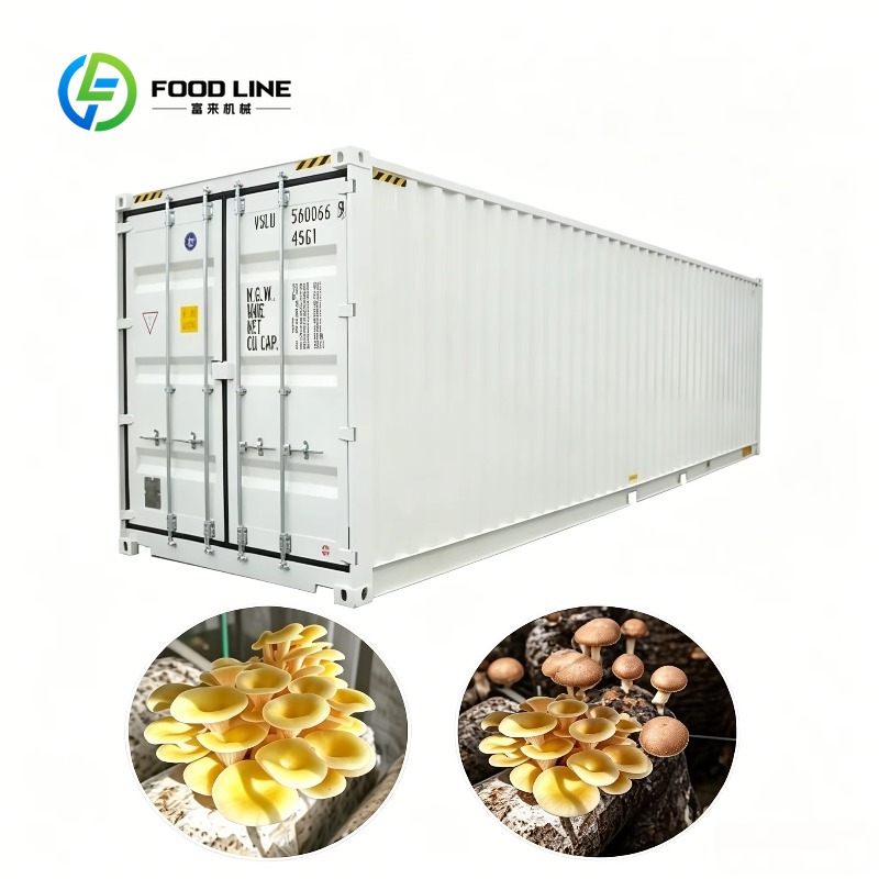 Urban Farming Hydroponic System - Fattoria Idroponica in Container con Sistema