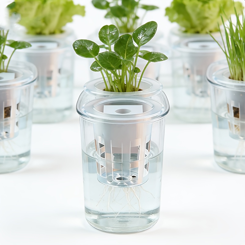 Net Pot 3 Inch - Set di 10 cestini per piantine