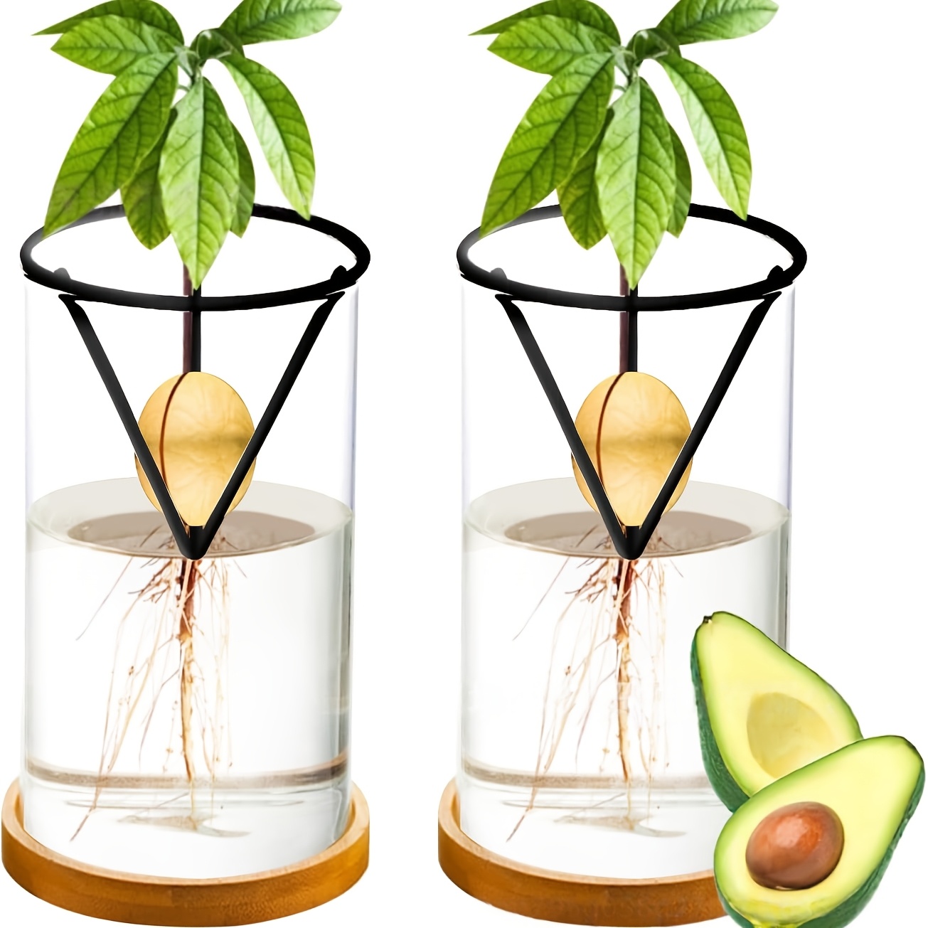 2 Vasi Conici Trasparenti per  - Net Pot 3 Inch recensione e prezzo