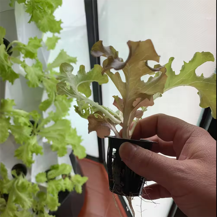Sistema modulare idroponico a  - Urban Farming Hydroponic System recensione e prezzo