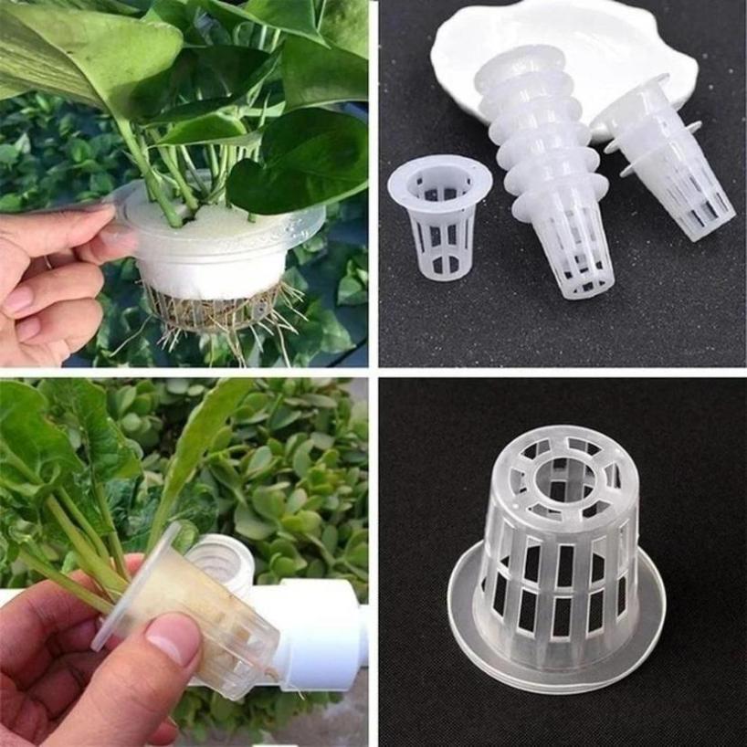 5 Pcs Plastica Porous Mesh Pot - Net Pot 3 Inch recensione e prezzo