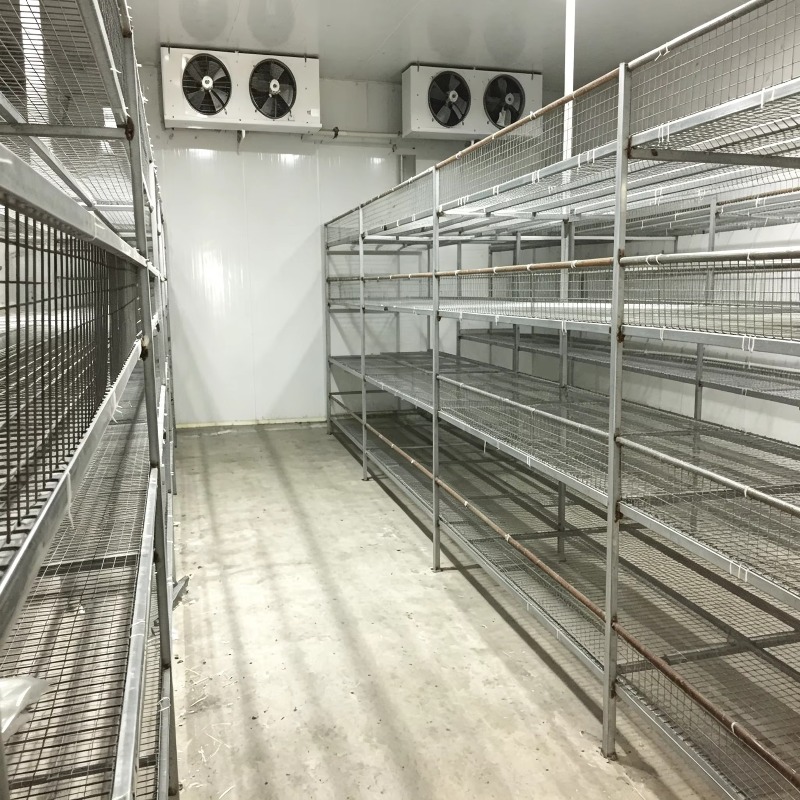 Fattoria Idroponica in Contain - Urban Farming Hydroponic System recensione e prezzo