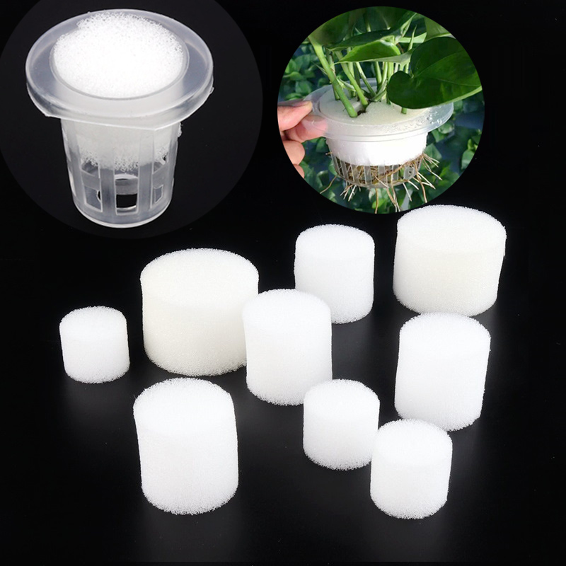 50pcs White Mesh Cup Sponge Ga - Net Pot 3 Inch recensione e prezzo