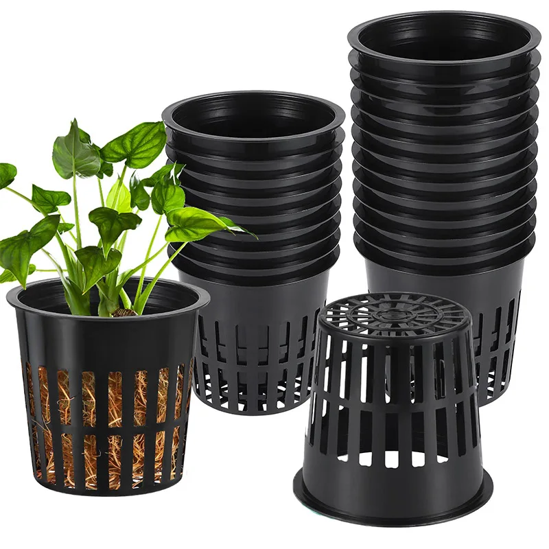 10 PZ 3 Pollici Idroponica Taz - Net Pot 3 Inch recensione e prezzo