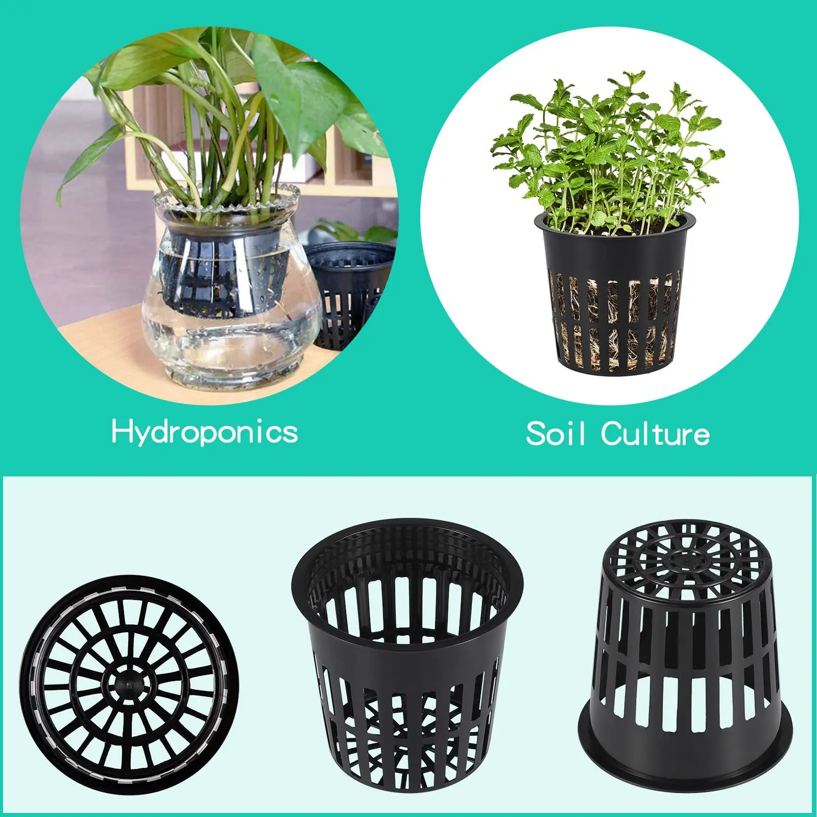 10 PZ 3 Pollici Idroponica Taz - Net Pot 3 Inch recensione e prezzo