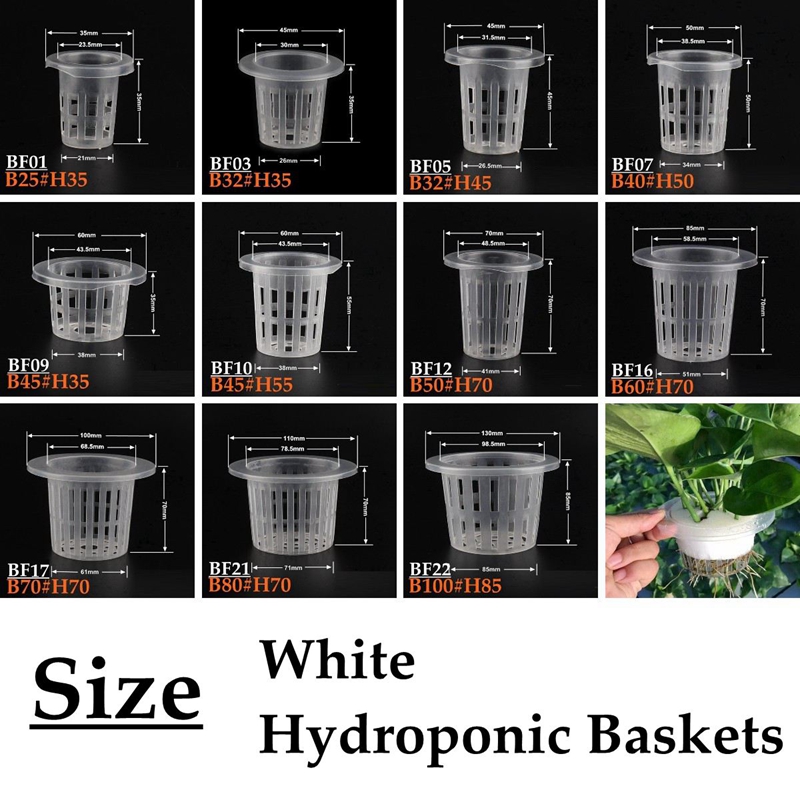 10 pz Bianco Idroponico Soille - Net Pot 3 Inch recensione e prezzo